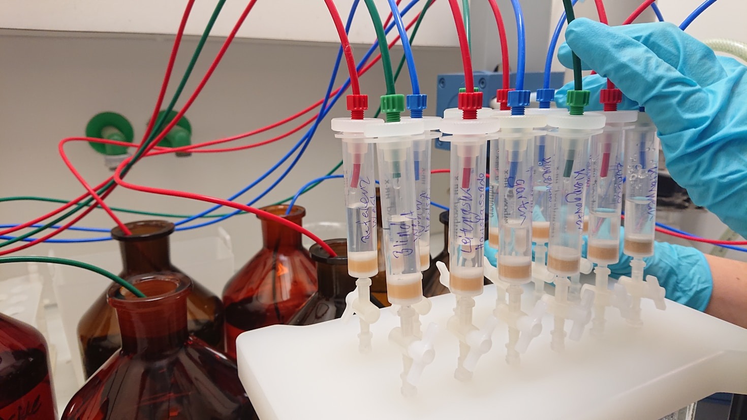 Understanding the Importance of Environmental Assessments