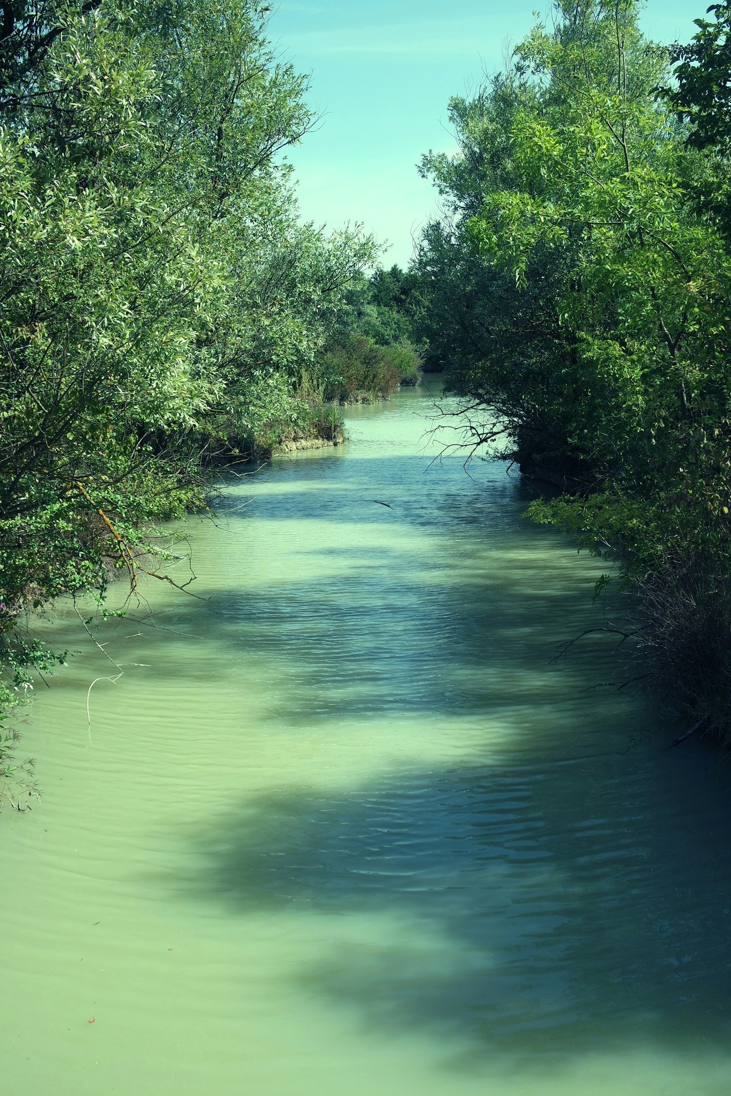 Top Tools Used in Modern Environmental Analysis